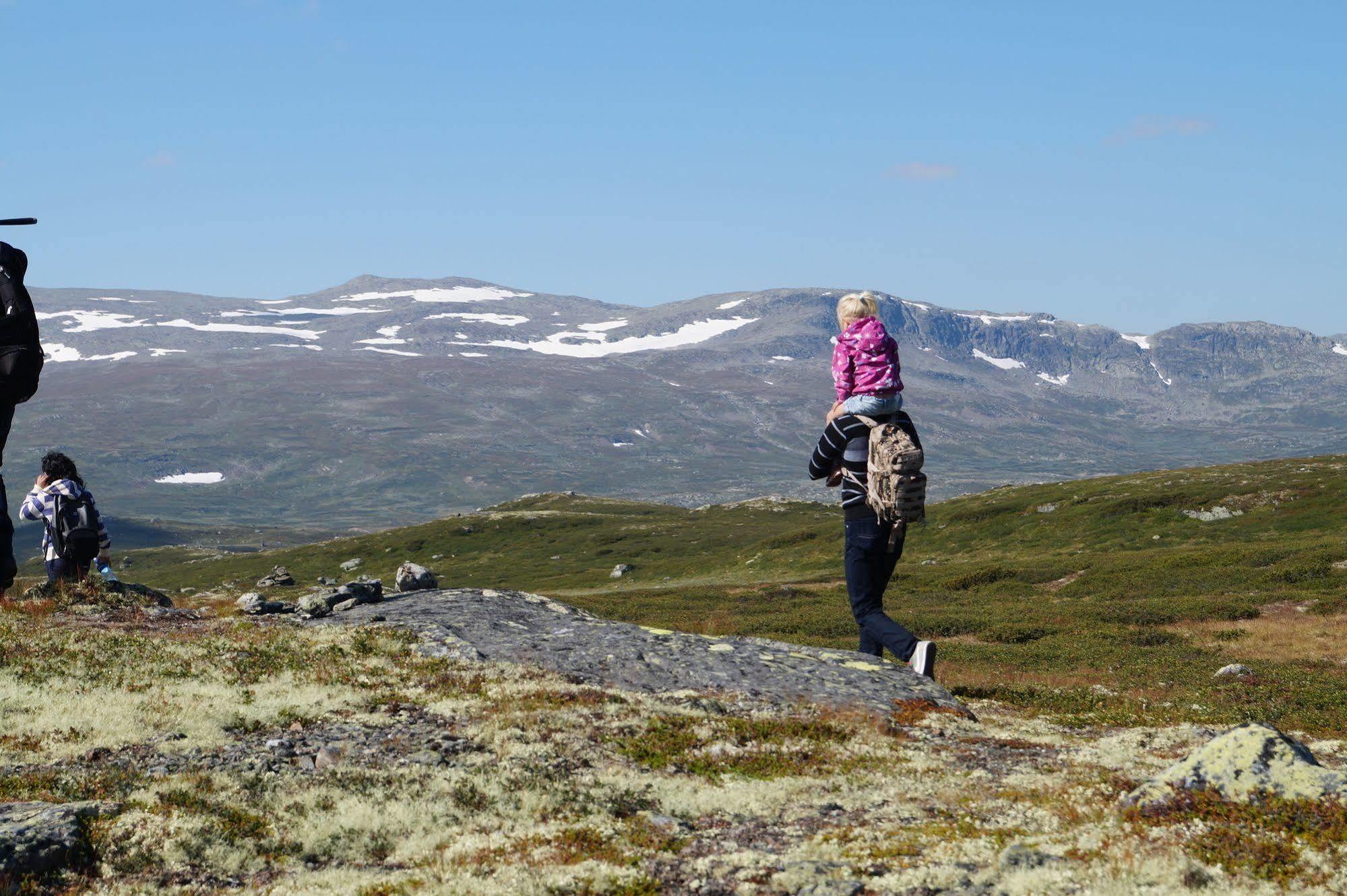 Liatoppen Fjellhotell Ол Экстерьер фото