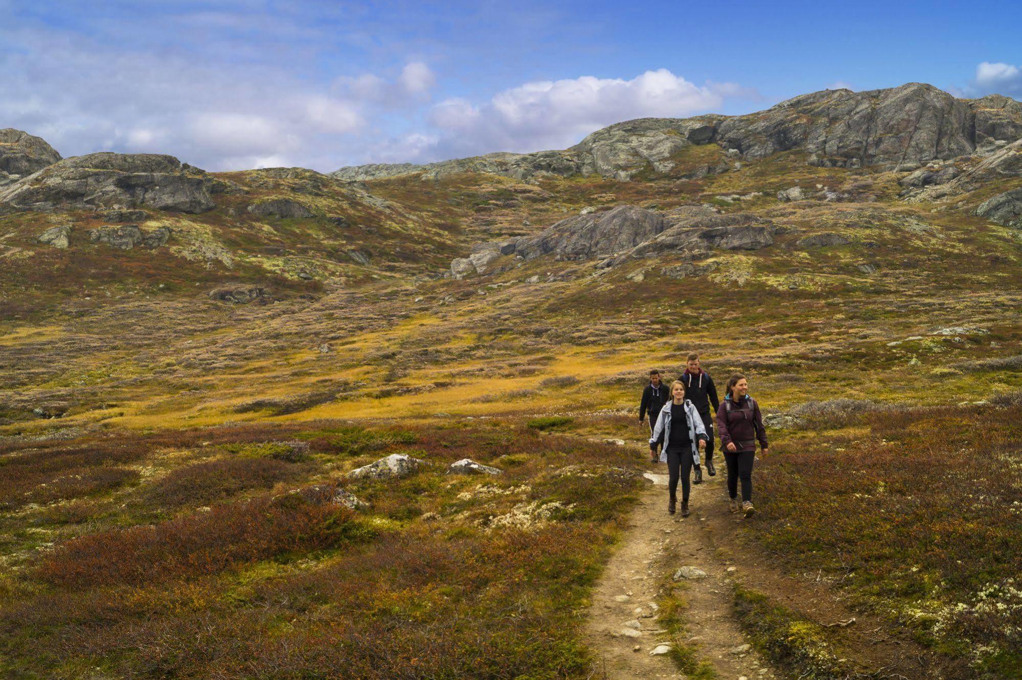 Liatoppen Fjellhotell Ол Экстерьер фото